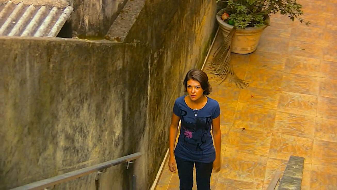 Amor Terminal (2011)